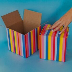 Packed Party Small Striped Shipping Box
